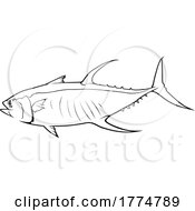 05/06/2022 - Tuna Fish