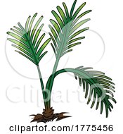 Cartoon Palm Plant