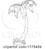Cartoon Black And White Palm Tree