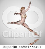 3D Female Figure In Ballet Pose With Muscle Map Textures