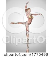 3D Female Medical Figure In Ballet Pose