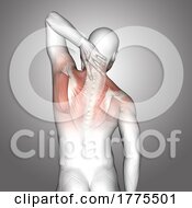 3D Male Medical Figure With Neck Muscles Highlighted