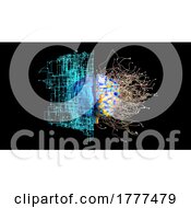 3d Brain And Neurons On A Black Background