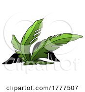 Cartoon Palm Plant
