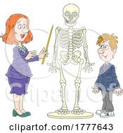 Poster, Art Print Of Cartoon Teacher And Student Looking At An Anatomy Skeleton