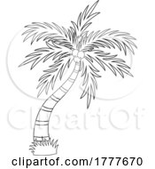 Poster, Art Print Of Black And White Palm Tree