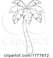 Black And White Palm Tree
