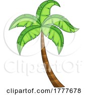 Poster, Art Print Of Tropical Palm Tree