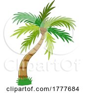Coconut Palm Tree by Hit Toon