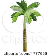 Poster, Art Print Of Tropical Palm Tree