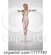 Poster, Art Print Of 3d Female Figure In Ballet Pose With Muscle Map Texture