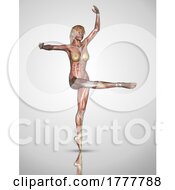 Poster, Art Print Of 3d Female Figure In Ballet Pose With Muscles Highlighted