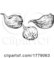 Poster, Art Print Of Garlic