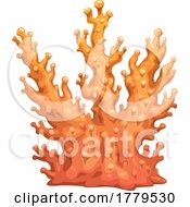 Poster, Art Print Of Coral