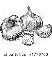 Poster, Art Print Of Garlic