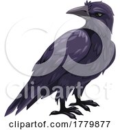 Poster, Art Print Of Raven Or Crow