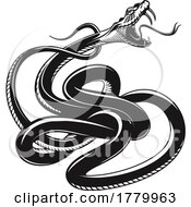 Poster, Art Print Of Black And White Angry Viper Snake