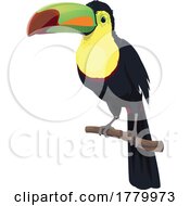 Toucan by Vector Tradition SM