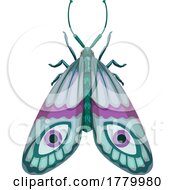 Poster, Art Print Of Moth With Eye Patterns