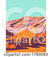 Poster, Art Print Of Coyote In Death Valley National Park In The California Nevada Border Wpa Poster Art