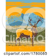Poster, Art Print Of Elk Or Wapiti In The Rocky Mountain National Park In Northern Colorado Wpa Poster Art