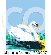 Mute Swan Or Cygnus Olor Swimming In Lake Viewed From Side WPA Poster Art