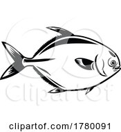 Poster, Art Print Of Golden Pompano Fish Or Trachinotus In The Family Carangidae Viewed From Side Mascot Retro Black And White