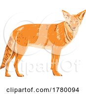 Poster, Art Print Of Coyote Canis Latrans Prairie Wolf Or Brush Wolf Viewed From Side Wpa Poster Art
