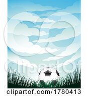 Poster, Art Print Of Fisheye View Of Clouds Grass And A Football