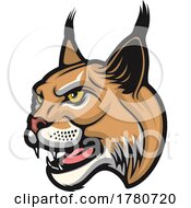 Profiled Bobcat Mascot Head by Vector Tradition SM
