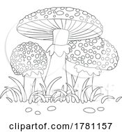 Fly Agaric Mushrooms And Grass
