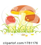 Mushrooms And Grass