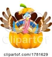 Cartoon Crazy Thanksgiving Turkey Bird In A Pumpkin