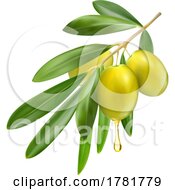 Green Olives And Oil