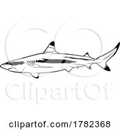 Poster, Art Print Of Black And White Blacktip Reef Shark