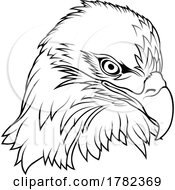Poster, Art Print Of Black And White Eagle Head