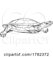 Poster, Art Print Of Black And White Turtle