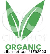 Organic Icon With Green Leaves