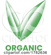 Poster, Art Print Of Organic Icon With Green Engraved Leaves