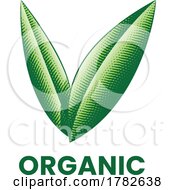 Organic Icon With Engraved Green Leaves