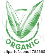 Organic Round Icon With Engraved Green Leaves Icon 8