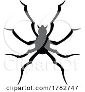Poster, Art Print Of Silhouetted Spider
