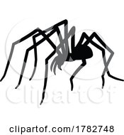 09/29/2022 - Silhouetted Spider