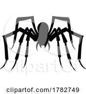 09/29/2022 - Silhouetted Spider