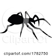 Silhouetted Spider