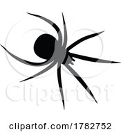 Silhouetted Spider