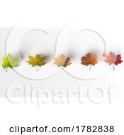 3d Autumn Maple Leaves On A White Background