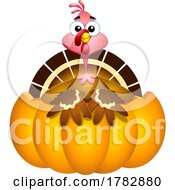 Cartoon Thanksgiving Turkey Bird In A Pumpkin