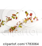 Poster, Art Print Of Isolated Leaf Collection Colorful Autumn Maple Leaves Isolated On White Background