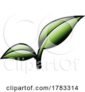 Poster, Art Print Of Green Scratchboard Engraved Leaf Branch